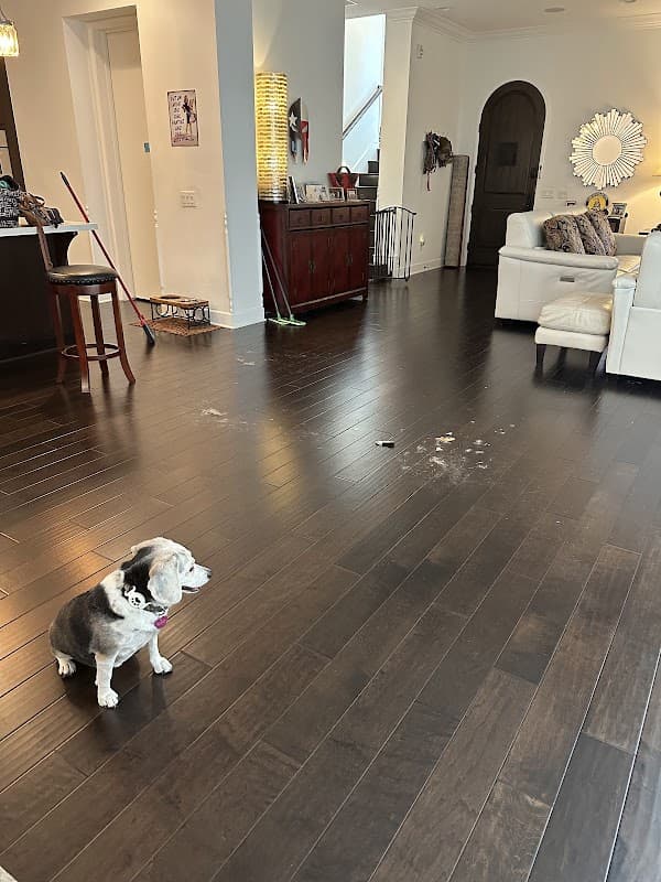 Alba’s Professional Cleaning Services - House Cleaning in Gardena