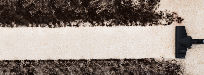 Better Finish Carpet Cleaning - Carpet & Upholstery in Los Angeles