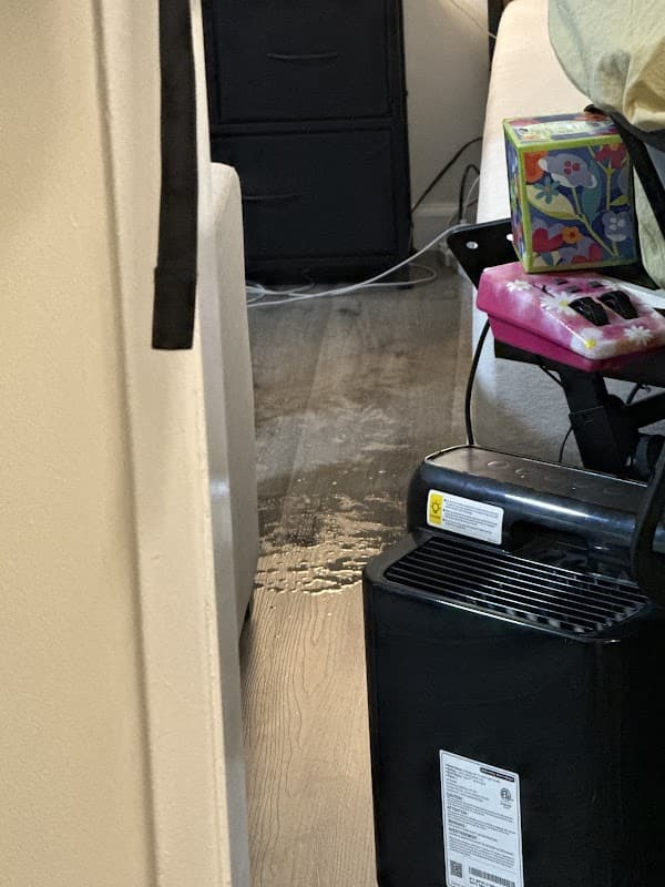 Ethan & Sons Carpet Cleaning - Carpet & Upholstery in Sherman Oaks