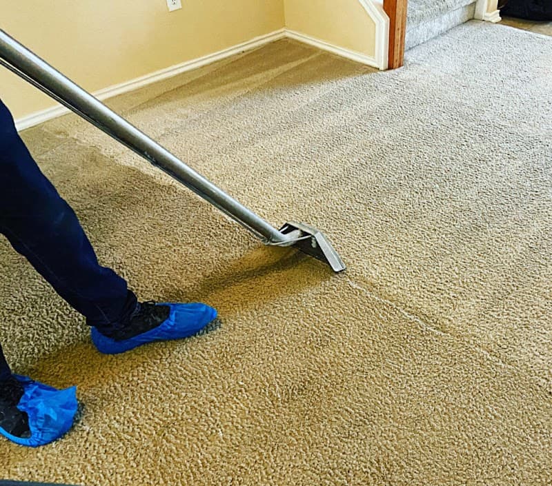 Friendly Carpet Cleaning Service - Carpet & Upholstery in Studio City