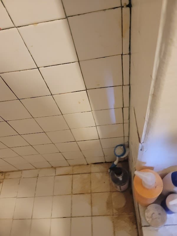 Irma Cleaning Services - Commercial Cleaning in Los Angeles