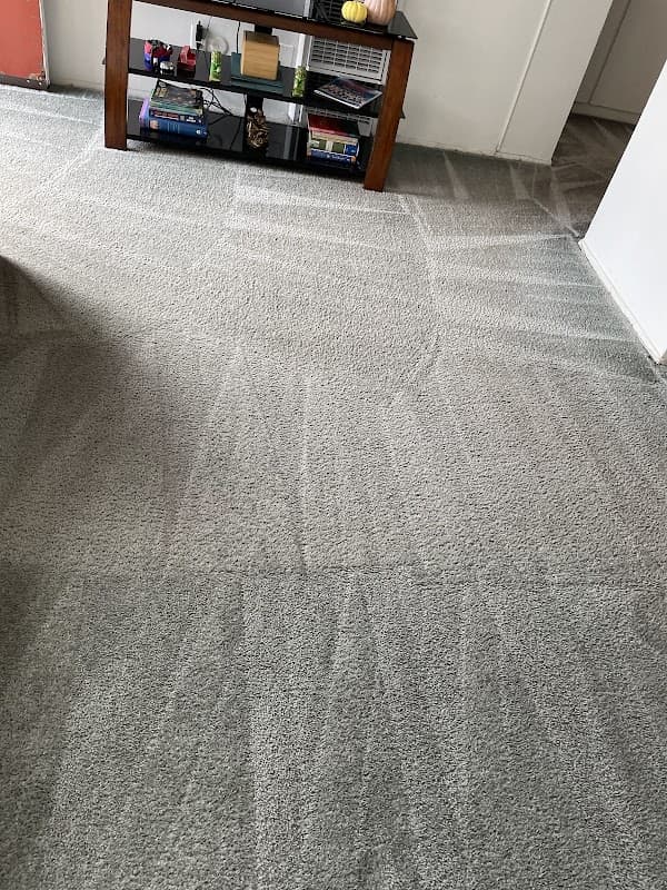 Kleen Kulture - Carpet & Upholstery in Lynwood