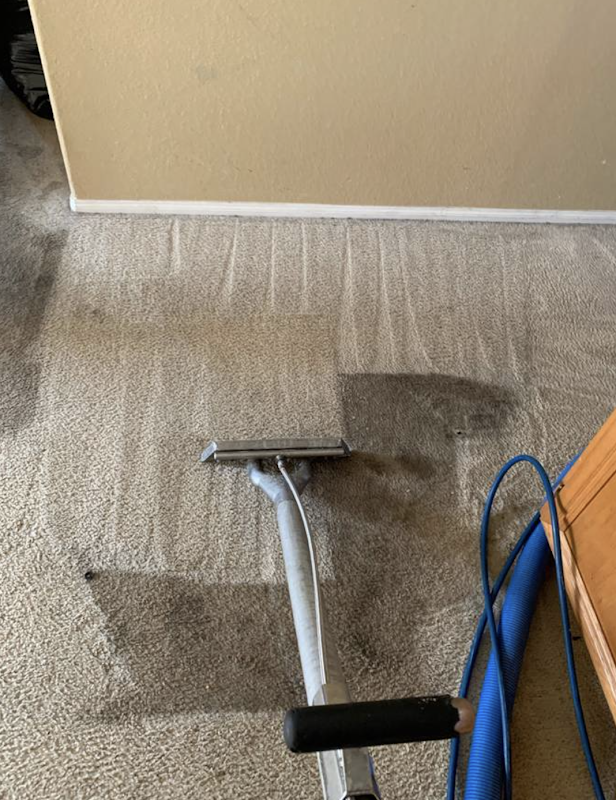 Magic Carpet & Upholstery Cleaning - Carpet & Upholstery in Hawthorne