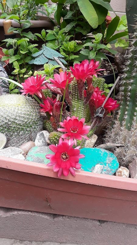 Norwalk Upholstery Cleaning - Carpet & Upholstery in Norwalk