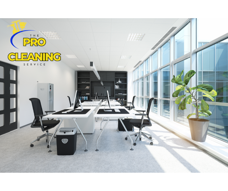 Pro Clean of Woodland Hills - Move In/Out Cleaning in Woodland Hills