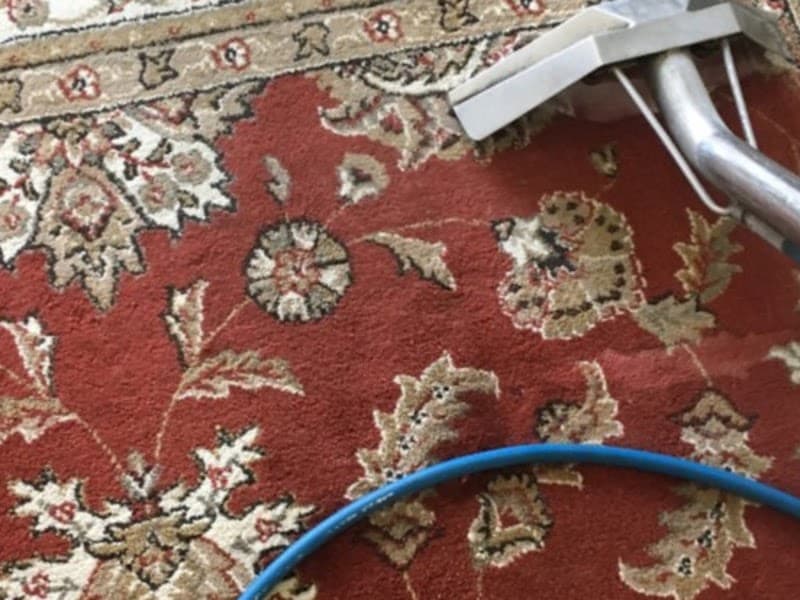 Raj's Rug Cleaning Service - Carpet & Upholstery in Venice