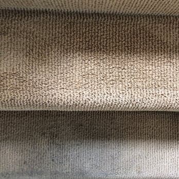 Right way carpet care - Carpet & Upholstery in Santa Monica