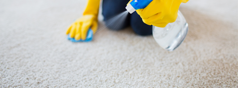 Robert's Carpet Cleaners - Carpet & Upholstery in El Segundo