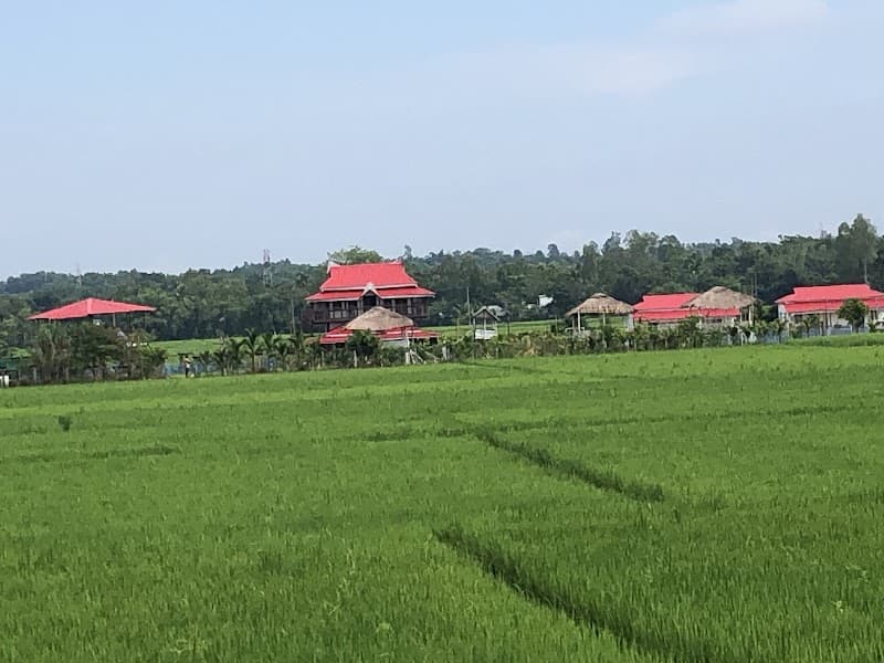 Zero Odor Carpet Cleaning - Carpet & Upholstery in Arcadia