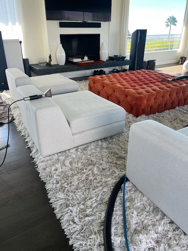 ZEST Carpet, Rug & Upholstery Care - Carpet & Upholstery in Glendale